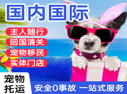 东郊机场邮寄国际宠物托运 【国